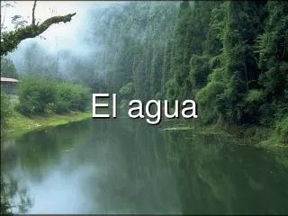el agua