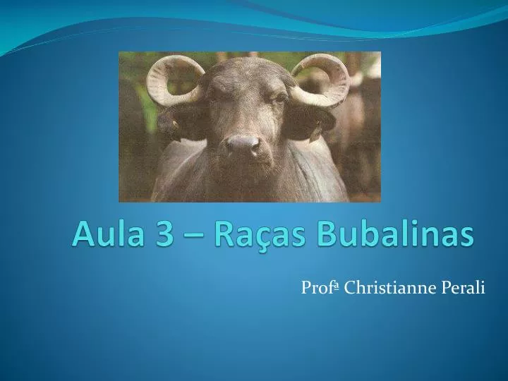 aula 3 ra as bubalinas