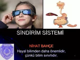 s nd r m s stem