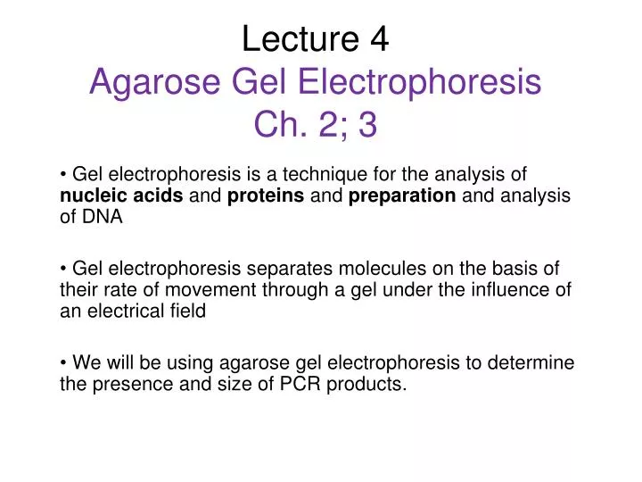 lecture 4 agarose gel electrophoresis ch 2 3