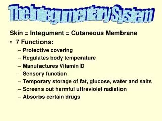 Skin = Integument = Cutaneous Membrane 7 Functions: Protective covering Regulates body temperature