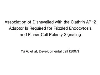 Yu A. et al, Developmental cell (2007)