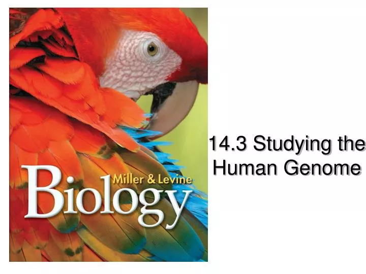 14 3 studying the human genome