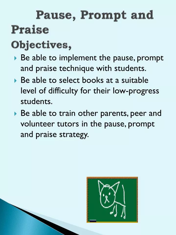 pause prompt and praise objectives