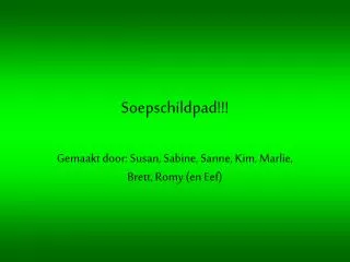 soepschildpad