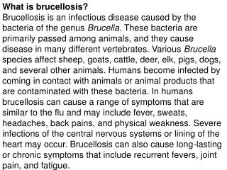 What is brucellosis?