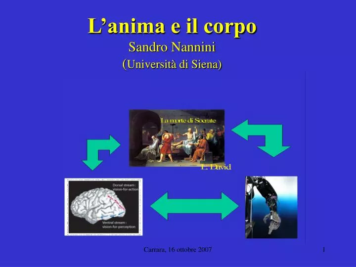 l anima e il corpo sandro nannini universit di siena