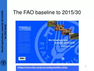 The FAO baseline to 2015/30