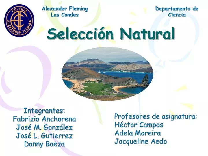 PPT - Selección Natural PowerPoint Presentation, Free Download - ID:4290731