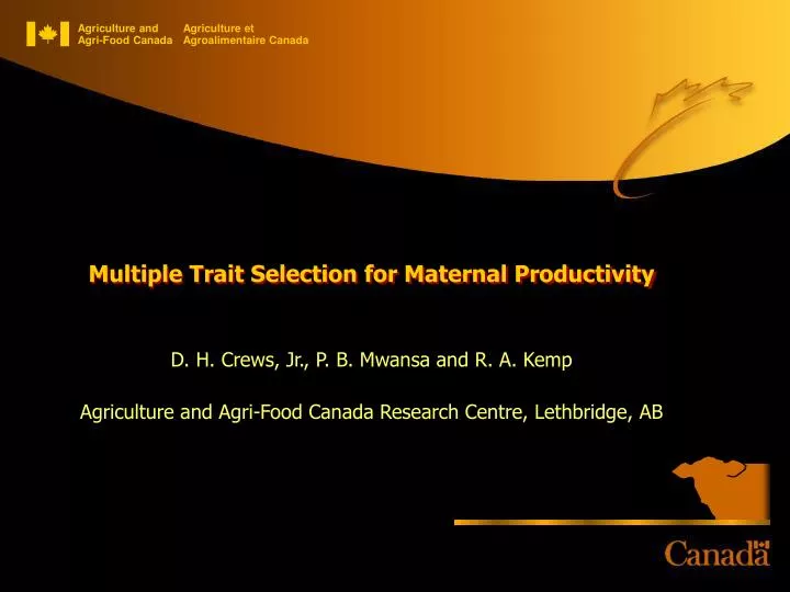 multiple trait selection for maternal productivity