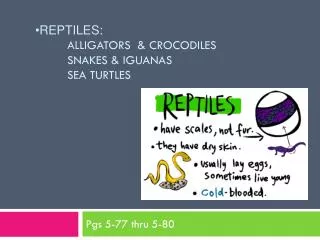 Reptiles : Alligators &amp; Crocodiles 	Snakes &amp; Iguanas 	Sea Turtles