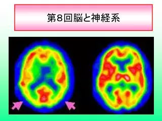 第８回脳と神経系