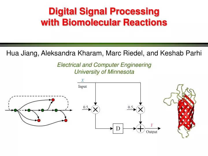 digital signal processing with biomolecular reactions