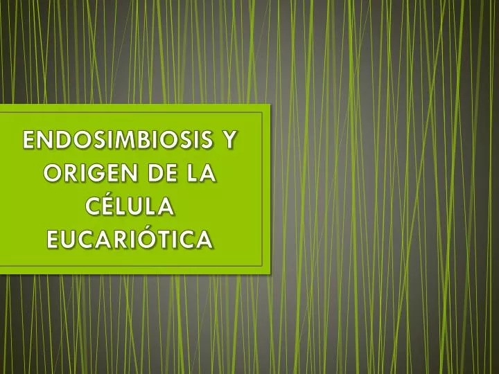 endosimbiosis y origen de la c lula eucari tica