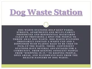 Dog Waste Stations