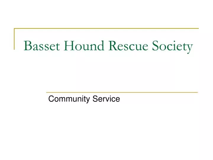 basset hound rescue society