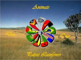 animais