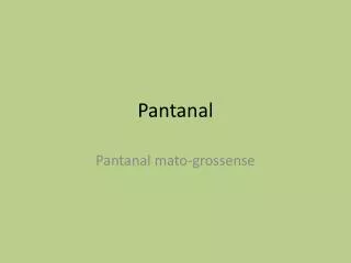 pantanal
