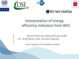 Interpretation of energy efficiency indicators from BIEE