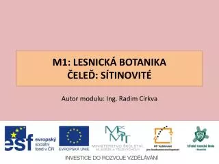 m1 lesnick botanika ele s tinovit