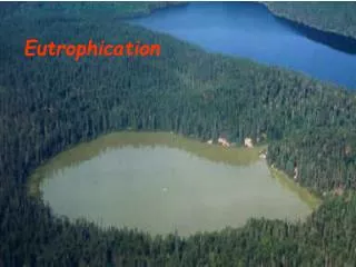 Eutrophication