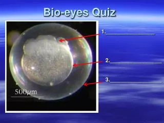 Bio-eyes Quiz