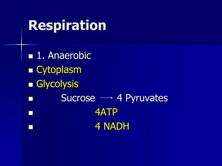 respiration