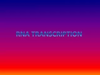 RNA TRANSCRIPTION