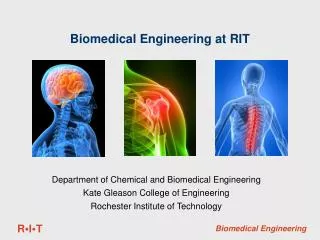 Biomedical Engineering at RIT