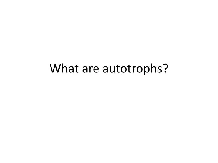 what are autotrophs
