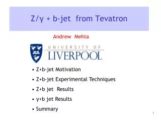 Z/ ? + b-jet from Tevatron