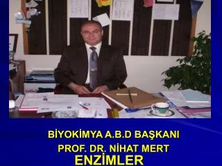 enz mler
