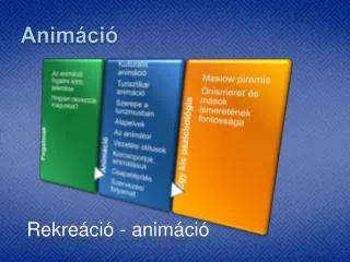 anim ci