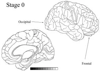 Stage 0