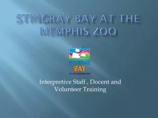 Stingray Bay at the Memphis Zoo
