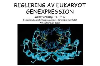 reglering av eukaryot genexpression