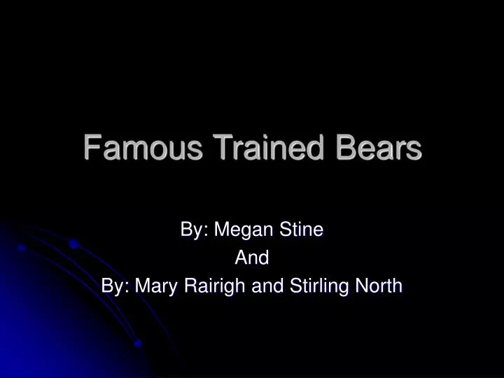 famous trained bears