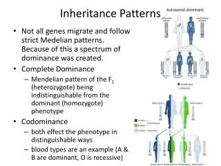 inheritance patterns