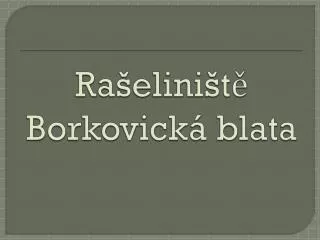 ra elini t borkovick blata