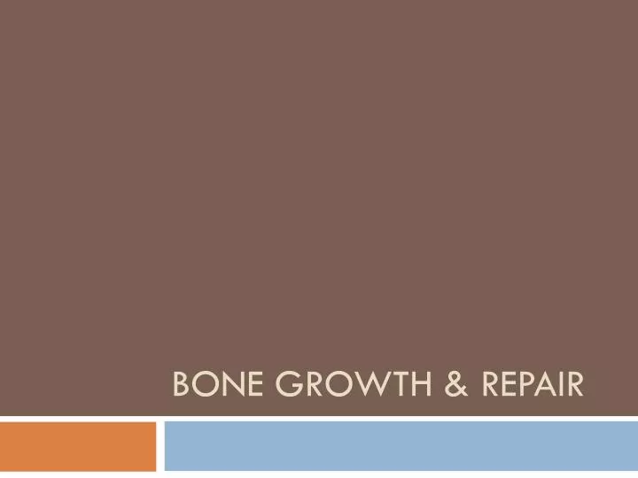 bone growth repair