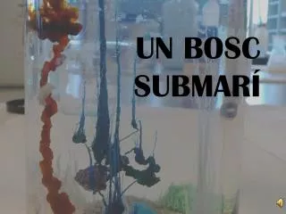 un bosc submar
