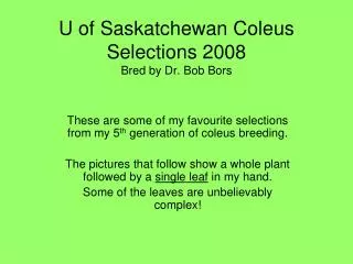 U of Saskatchewan Coleus Selections 2008 Bred by Dr. Bob Bors