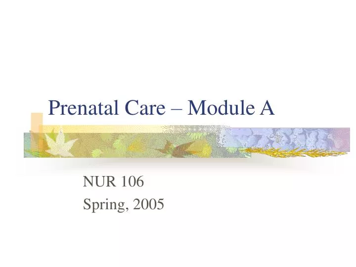 prenatal care module a
