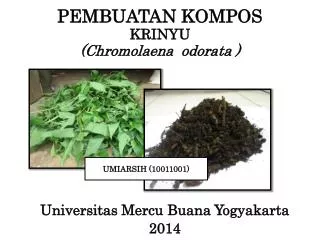pembuatan kompos