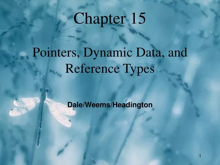 chapter 15 pointers dynamic data and reference types