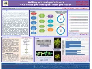Walking into post-genomics era --Virus-induced gene silencing for soybean gene function--