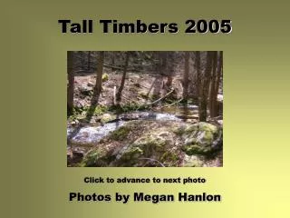 Tall Timbers 2005