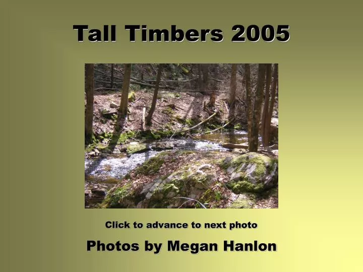 tall timbers 2005