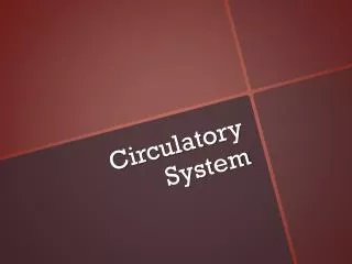 Circulatory System