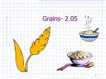 Grains- 2.05 - slide 1